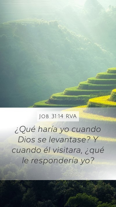 Job 31:14 RVA Bible Verse Image