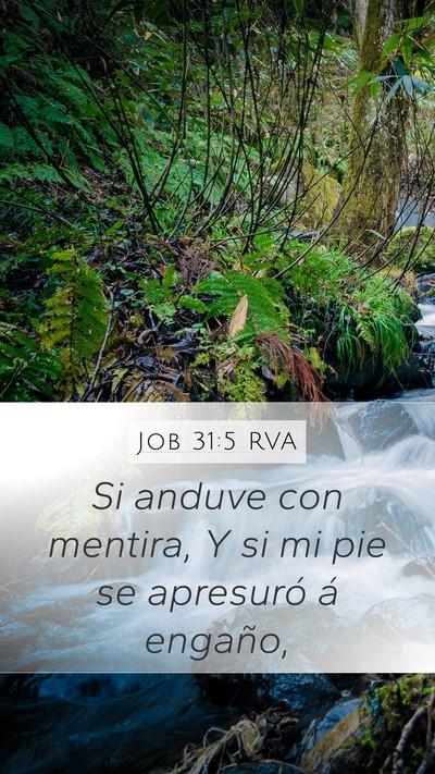 Job 31:5 RVA Bible Verse Image