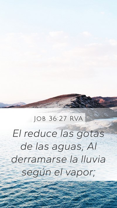 Job 36:27 RVA Bible Verse Image