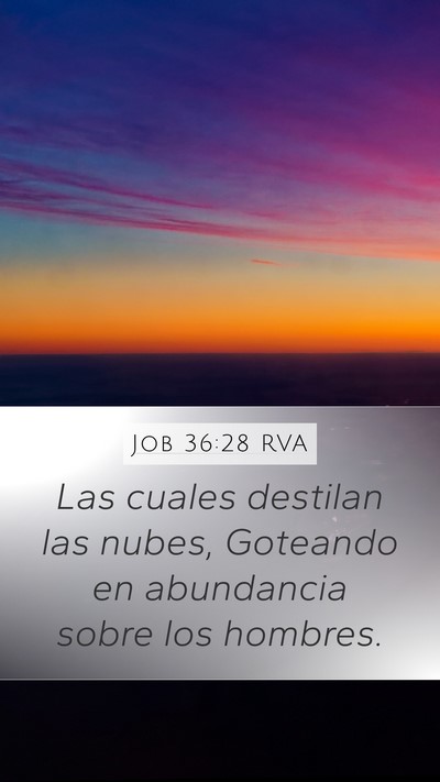 Job 36:28 RVA Mobile Phone Wallpaper - Las cuales destilan las nubes, Goteando en - Mobile Bible Verse Wallpaper