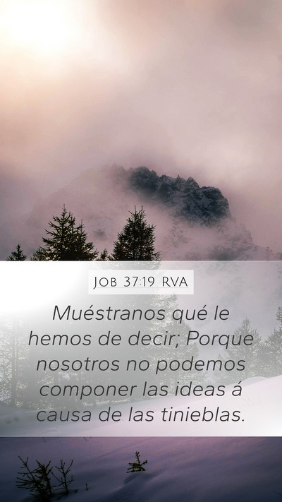 Job 37:19 RVA Bible Verse Image