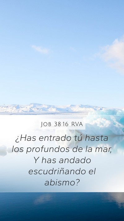 Job 38:16 RVA Bible Verse Image