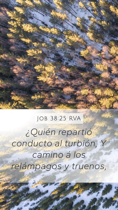 Job 38:25 RVA Bible Verse Image