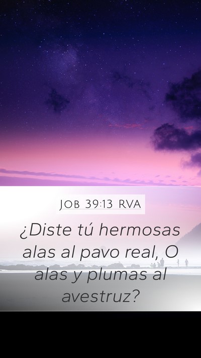 Job 39:13 RVA Bible Verse Image
