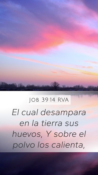 Job 39:14 RVA Bible Verse Image