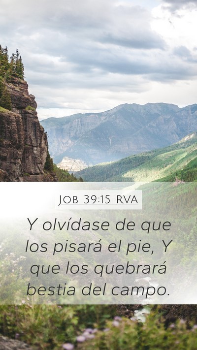 Job 39:15 RVA Mobile Phone Wallpaper - Y olvídase de que los pisará el pie, Y que los - Mobile Bible Verse Wallpaper