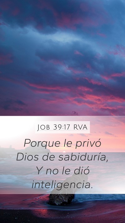 Job 39:17 RVA Bible Verse Image