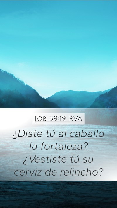Job 39:19 RVA Bible Verse Image