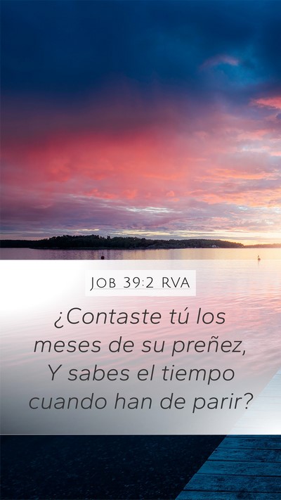 Job 39:2 RVA Mobile Phone Wallpaper - ¿Contaste tú los meses de su preñez, Y sabes - Mobile Bible Verse Wallpaper