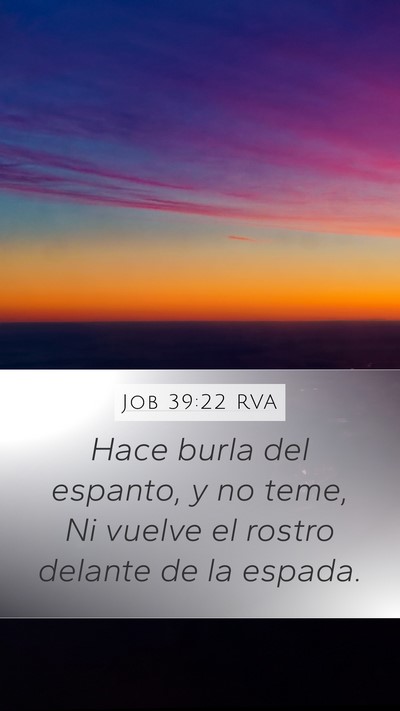 Job 39:22 RVA Bible Verse Image