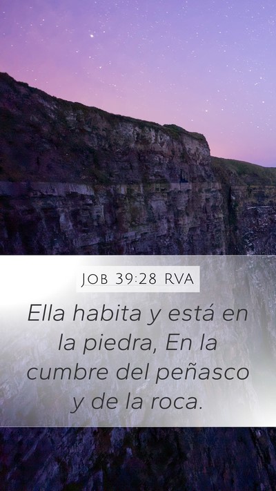 Job 39:28 RVA Mobile Phone Wallpaper - Ella habita y está en la piedra, En la cumbre - Mobile Bible Verse Wallpaper