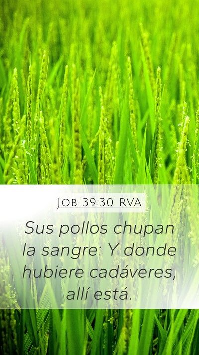 Job 39:30 RVA Bible Verse Image