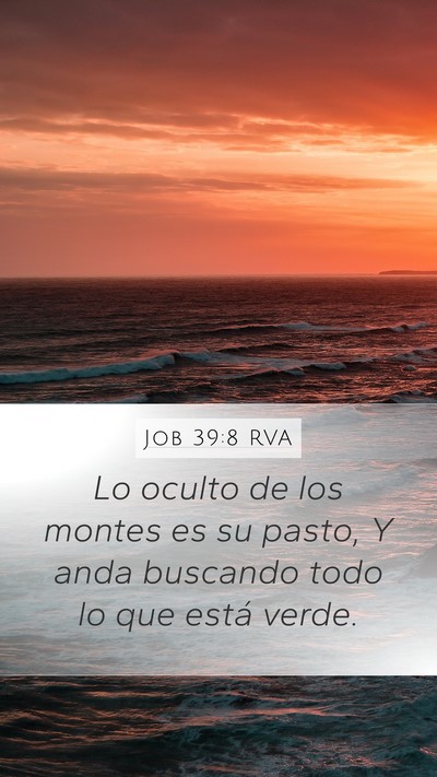 Job 39:8 RVA Bible Verse Image