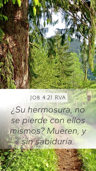 Job 4:21 RVA Bible Verse Image