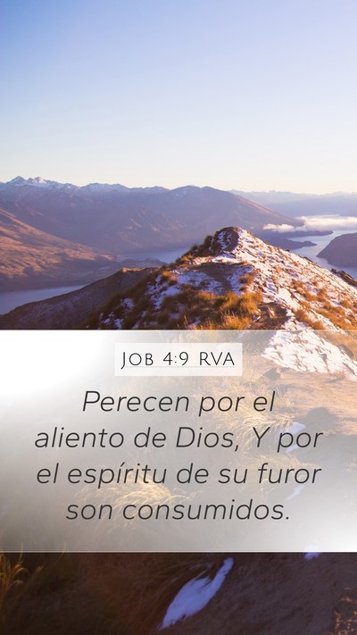 Job 4:9 RVA Bible Verse Image