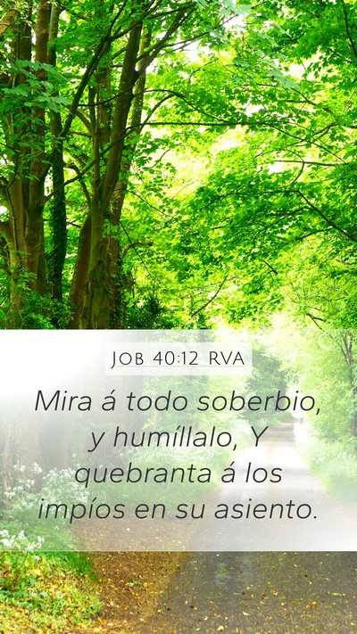 Job 40:12 RVA Bible Verse Image