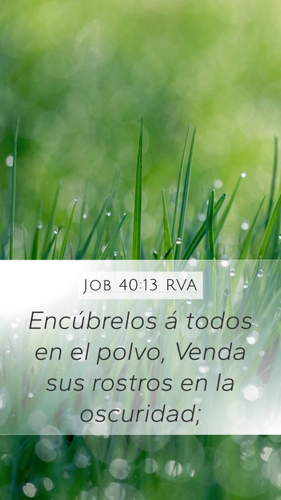 Job 40:13 RVA Bible Verse Image