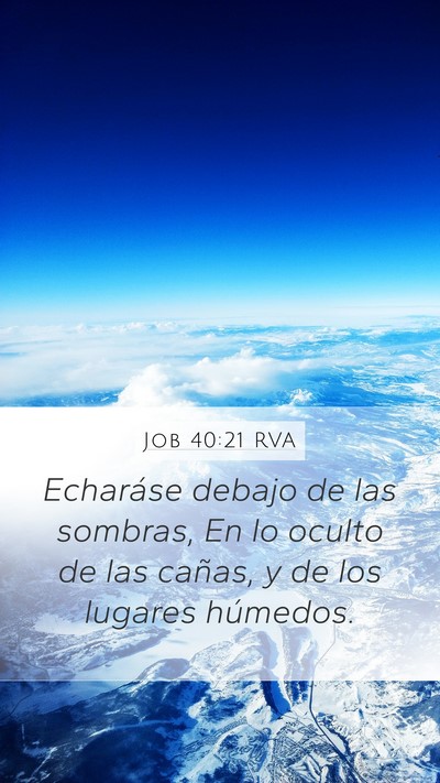 Job 40:21 RVA Bible Verse Image