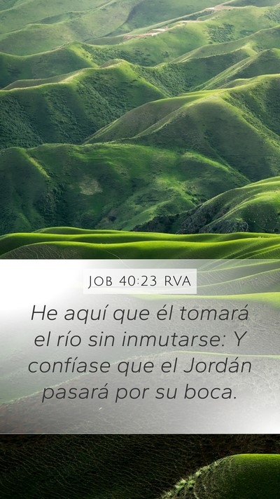 Job 40:23 RVA Mobile Phone Wallpaper - He aquí que él tomará el río sin inmutarse: Y - Mobile Bible Verse Wallpaper