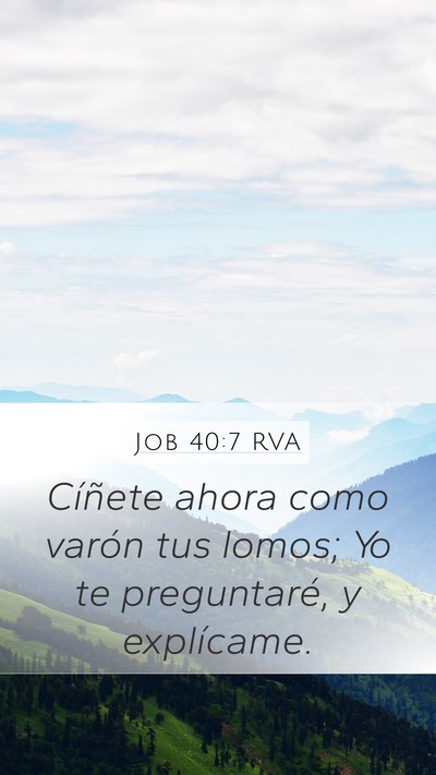 Job 40:7 RVA Bible Verse Image