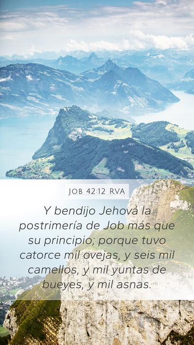 Job 42:12 RVA Bible Verse Image