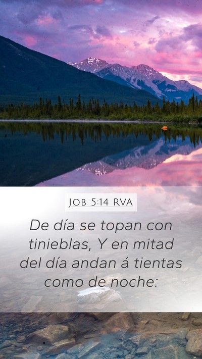 Job 5:14 RVA Bible Verse Image