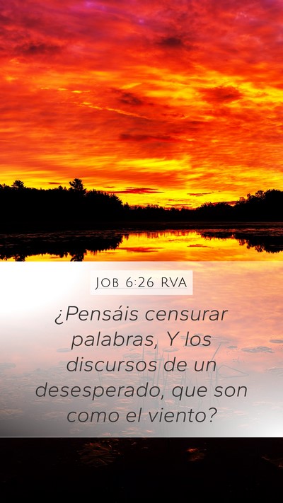 Job 6:26 RVA Bible Verse Image