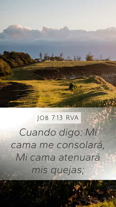 Job 7:13 RVA Bible Verse Image