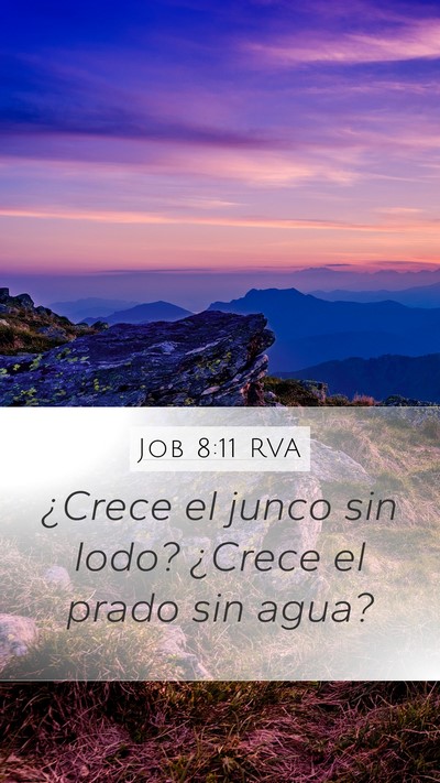 Job 8:11 RVA Bible Verse Image