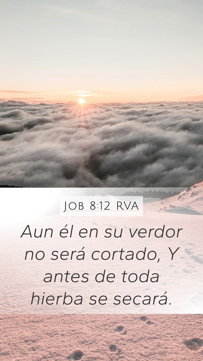 Job 8:12 RVA Mobile Phone Wallpaper - Aun él en su verdor no será cortado, Y antes de - Mobile Bible Verse Wallpaper
