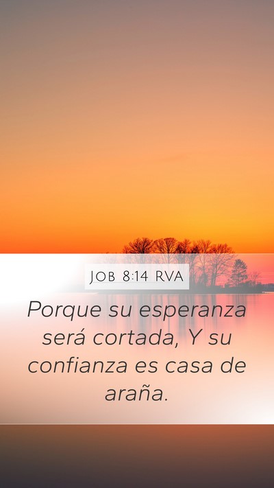 Job 8:14 RVA Bible Verse Image