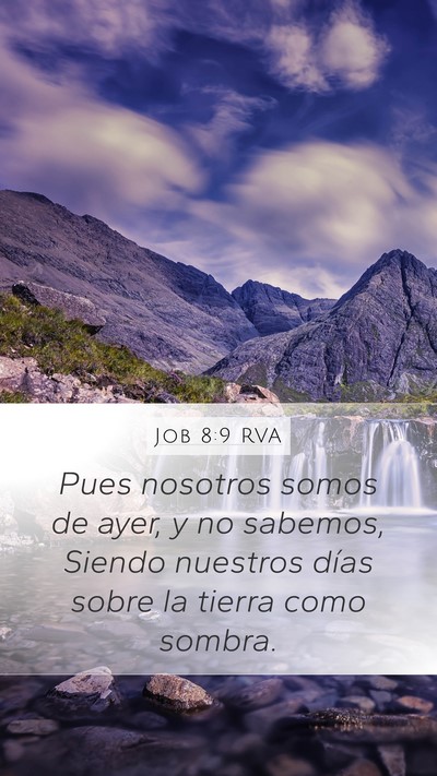 Job 8:9 RVA Bible Verse Image