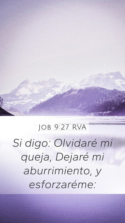 Job 9:27 RVA Bible Verse Image