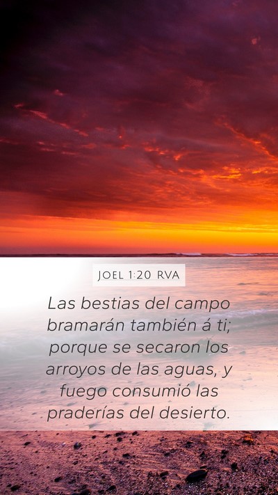 Joel 1:20 RVA Mobile Phone Wallpaper - Las bestias del campo bramarán también á ti; - Mobile Bible Verse Wallpaper