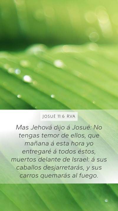 Josué 11:6 RVA Bible Verse Image