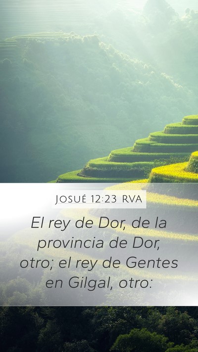 Josué 12:23 RVA Mobile Phone Wallpaper - El rey de Dor, de la provincia de Dor, otro; el - Mobile Bible Verse Wallpaper