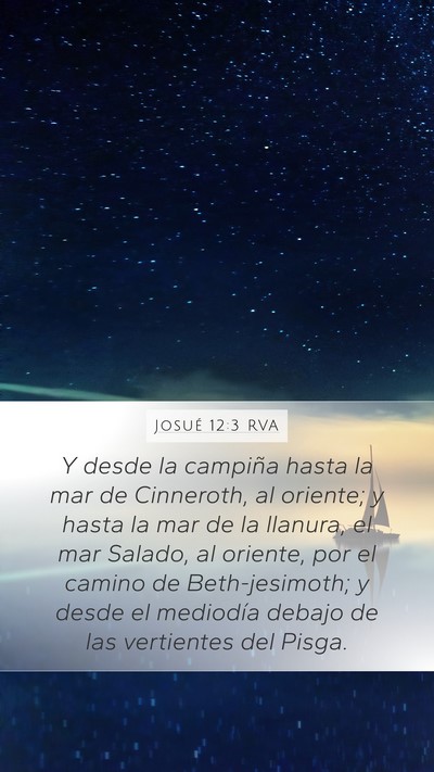 Josué 12:3 RVA Bible Verse Image
