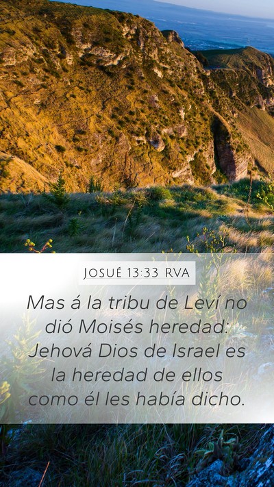 Josué 13:33 RVA Bible Verse Image