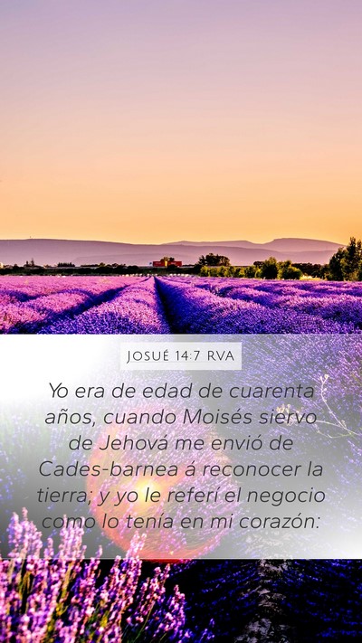 Josué 14:7 RVA Bible Verse Image