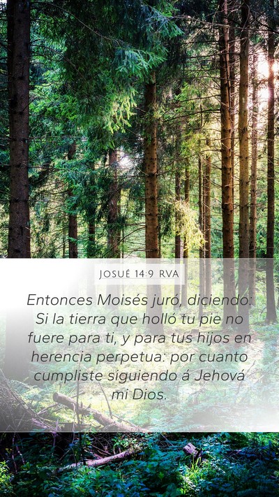 Josué 14:9 RVA Bible Verse Image
