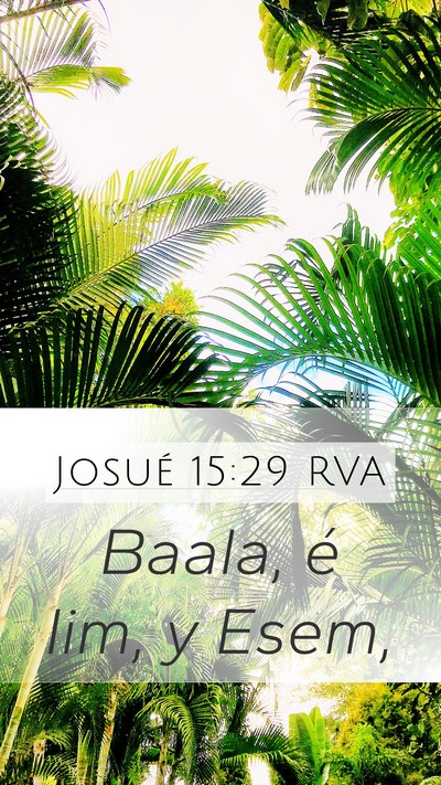 Josué 15:29 RVA Mobile Phone Wallpaper - Baala, é Iim, y - Mobile Bible Verse Wallpaper