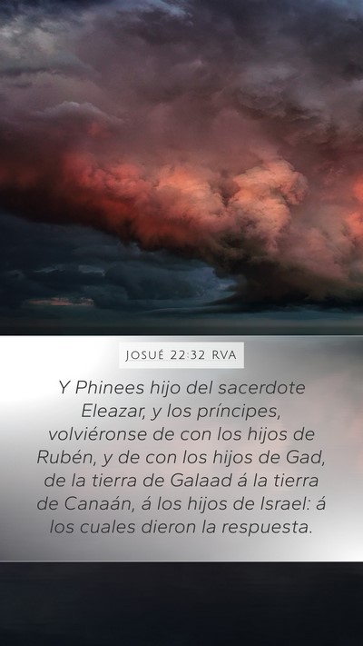 Josué 22:32 RVA Mobile Phone Wallpaper - Y Phinees hijo del sacerdote Eleazar, y los - Mobile Bible Verse Wallpaper