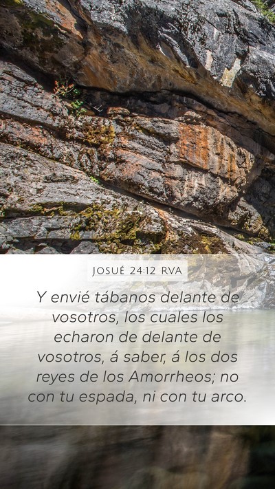 Josué 24:12 RVA Mobile Phone Wallpaper - Y envié tábanos delante de vosotros, los cuales - Mobile Bible Verse Wallpaper
