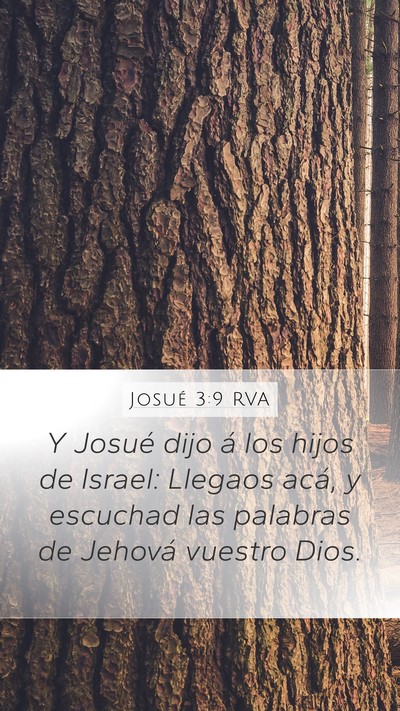 Josué 3:9 RVA Mobile Phone Wallpaper - Y Josué dijo á los hijos de Israel: Llegaos - Mobile Bible Verse Wallpaper