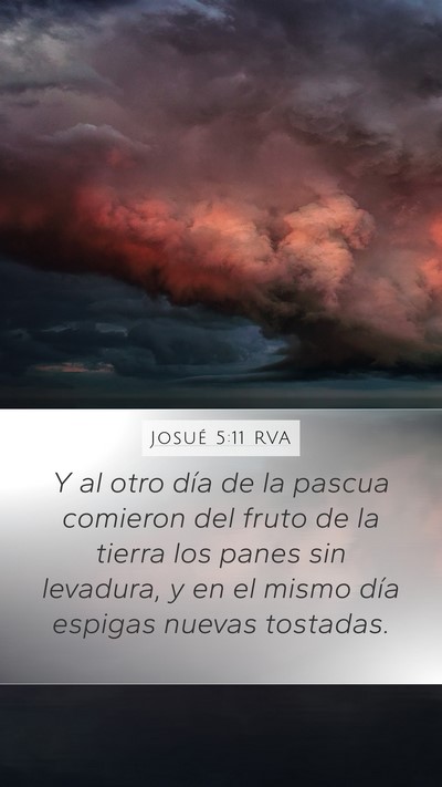 Josué 5:11 RVA Mobile Phone Wallpaper - Y al otro día de la pascua comieron del fruto de - Mobile Bible Verse Wallpaper