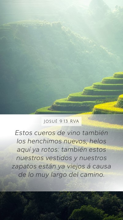 Josué 9:13 RVA Mobile Phone Wallpaper - Estos cueros de vino también los henchimos - Mobile Bible Verse Wallpaper