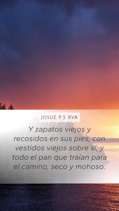 Josué 9:5 RVA Mobile Phone Wallpaper - Y zapatos viejos y recosidos en sus pies, con - Mobile Bible Verse Wallpaper