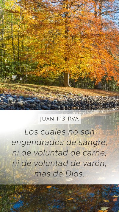 Juan 1:13 RVA Bible Verse Image