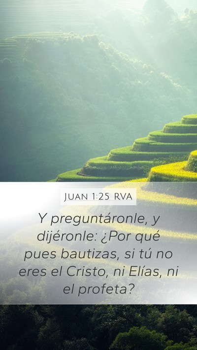 Juan 1:25 RVA Bible Verse Image