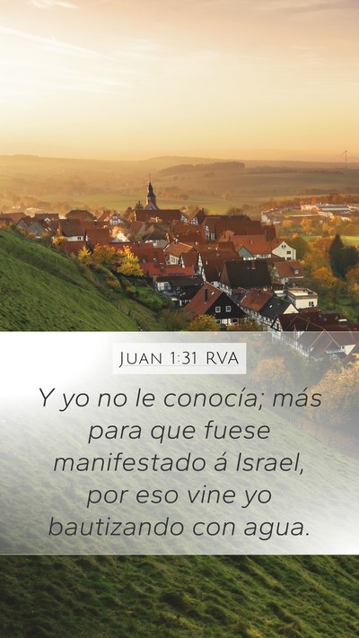 Juan 1:31 RVA Bible Verse Image